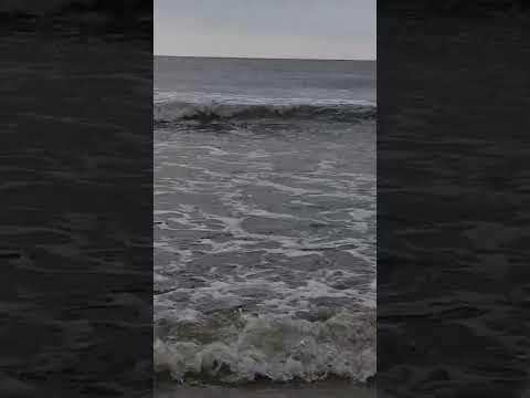 #shorts #youtube #beachvibes #shorts