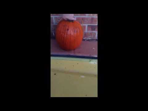 Re-make for rip Gregory