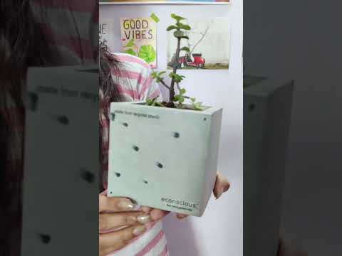 FRP Pot