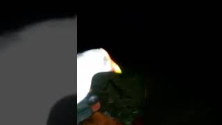 Download lagu terbuktii. suara tarikan burung (peruk,bentiung,mandar) dari lawan penjaring mp3