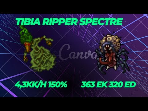 Tibia Duo 363 EK 320 ED Ripper Spectre 4,3kk/h 150%