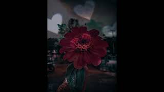 Download lagu vicky salamor 《TIPU REMBULAN》 lirik.. lbih gampang di hafal... mp3