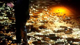 Antonis Remos | Ti imouna gia sena-Monos mou