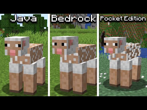 Java vs Bedrock vs Pocket Edition