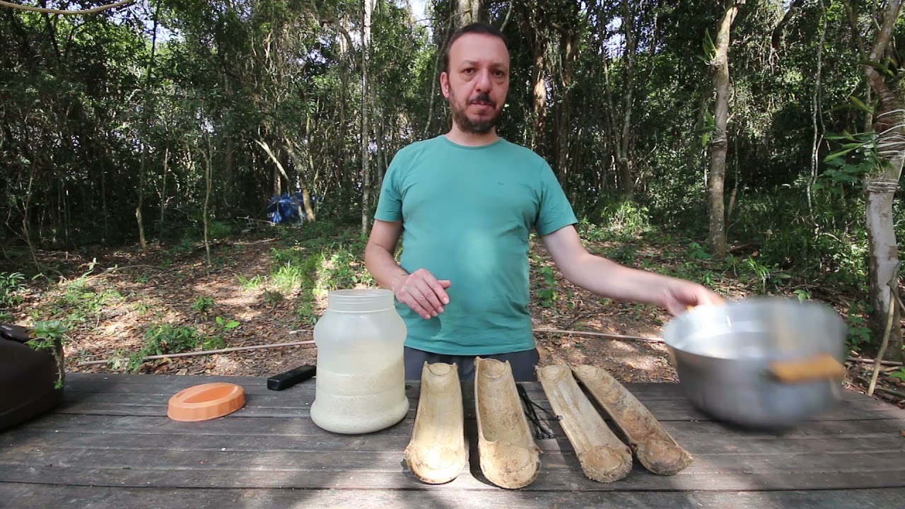 Captura de Micro Organismos na Mata com Rodrigo Sanches