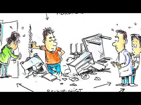 Wissen in 100 Sekunden – «Herausfordernde Verhaltensweisen»