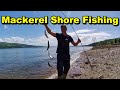 How To Catch Mackerel Quickly For Food And Bait Fishing Super EASY 2026