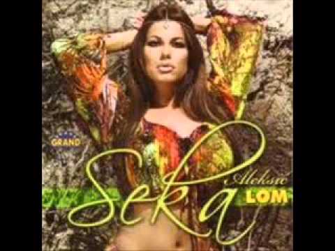 SEKA ALEKSIC - I U VATRU I U VODU (RMX)