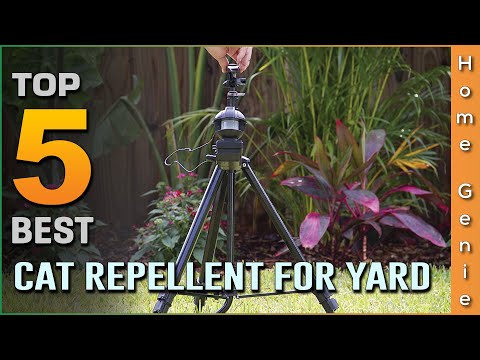 Top 5 Best Cat Repellents For Yard Review in 2022 | Which One Should You Buy?