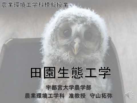 農学部農業環境工学科 模擬授業「田園生態工学」守山拓弥