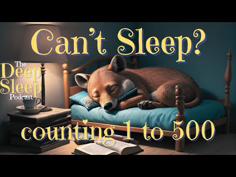 No Ads - Counting 1–500 – A Gentle Sleep Video | Real Voice No AI | The Deep Sleep Podcast