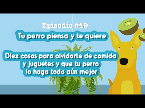 🖐DIEZ🖐 cosas para OLVIDARTE de COMIDA🍗 y JUGUETES 🧸 y que tu perro lo haga TODO aún MEJOR 🤗 ➧ Ep #49