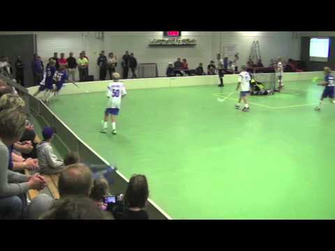 Mestareiden Cup 2012 -- Tapanilan Erä 99 Edustuksen maalit -- päivä 2/2