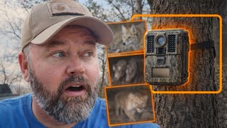 I Forgot This Hidden Cell Camera For A Year... What It Caught Is Unreal