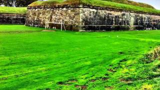 Tim Finn - Protected