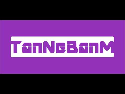 Tiesto Vs. Diplo Feat. Busta Rhymes - C'mon