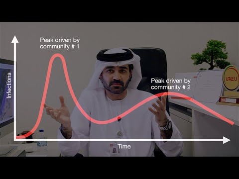 Mathematical Modelling of COVID-19 Spread Dynamics in UAE