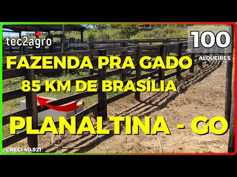 🌱 100 ALQ IN PLANALTINA - FARM FOR SALE IN GOIÁS [DUAL APTITUDE🐄] WhatsApp 62.99972-2000 #agricul...