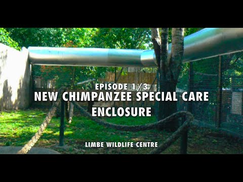 New Chimpanzee Special Care & Rehabilitation Enclosure - Episode 1/3 - Limbe Wildlife Centre