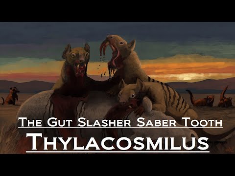 Prehistoric Breakdown: Thylacosmilus