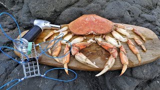 Crusted Caramelized Crab Leg CATCH AND COOK!  **New Recipe!**