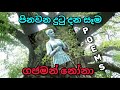 පිනවන දුටු දන සෑම දෙනිපිටිය නුග රුක වැ