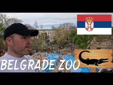World's Oldest At Belgrade Zoo?! | Serbia 2025 [4K]