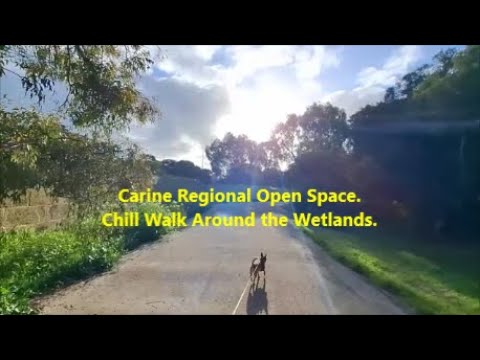 🌿Carine Regional Open Space. Chill Walk Around the Wetlands. Perth, Australia.