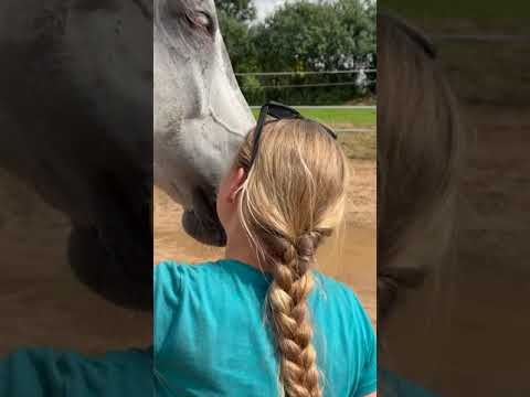 How to catch horse? - Line Free Collection Latvia students lesson Honza Bláha