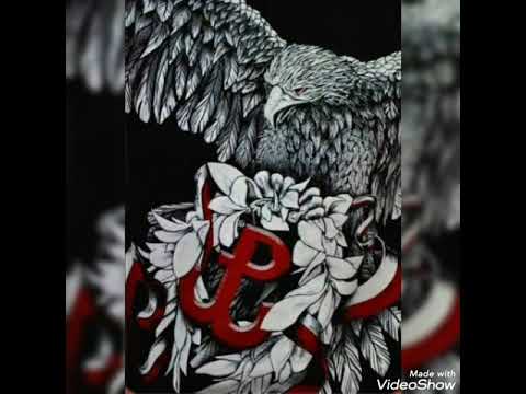 FORTECA - Orzeł Biały