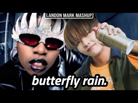 butterfly rain. [BTS x missy elliott mashup]