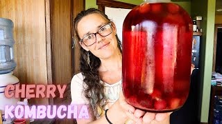 CHERRY KOMBUCHA | How to Brew and Ferment Kombucha | Hamakua Homestead