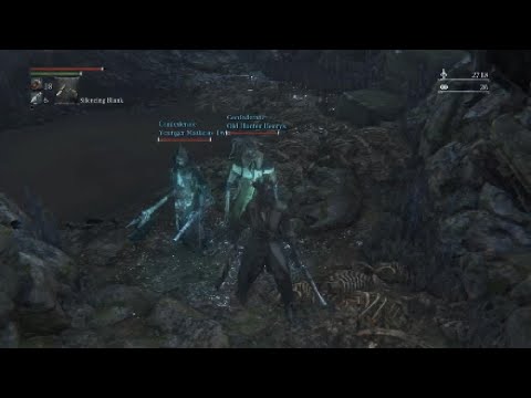 Shadows of Yharnam 3V3... Was actually fun Lol!