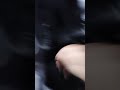Reproduce el video
