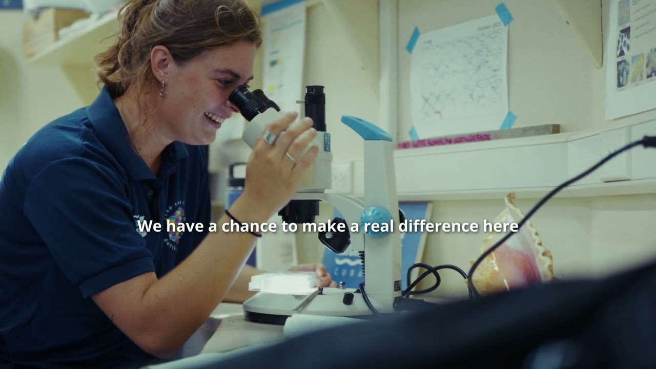Curaçao and the European Union – Partners in Change | Queen Conch Hatchery