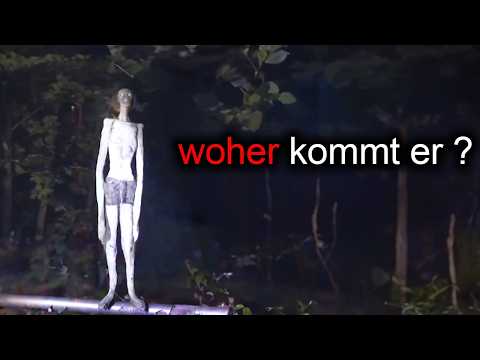 15 unheimliche Begegnungen: Was lauert im Wald?