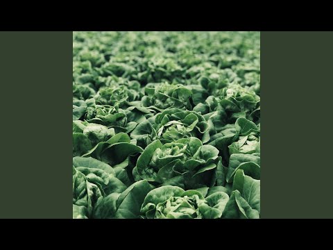 Produce (Radio Edit)
