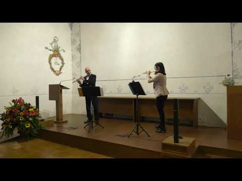 Beethoven - Allegro and Minuet for two flutes