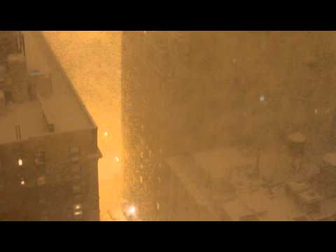 NYC CENTRAL PARK MEGA THUNDER SNOW STORM 01/26/2011