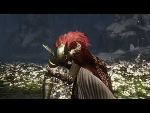 Steam Community :: Video :: beating Malenia for the first time (NG+1 ...