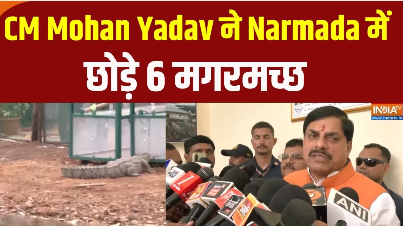 CM Mohan Yadav ने Narmada में छोड़े 6 मगरमच्छ, Madhya Pradesh में पर्यावरण संर
