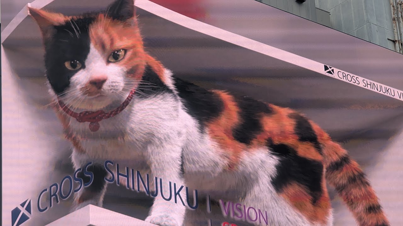 レモンサワーライブ