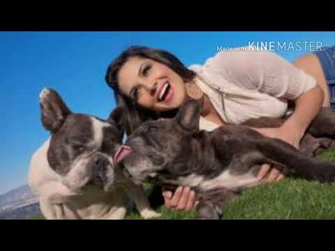 DOG LOVERS😍😘 IN BOLLYWOOD AND THEIR DOGS