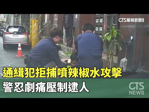 通緝犯拒捕噴辣椒水攻擊　警忍劇痛壓制逮人