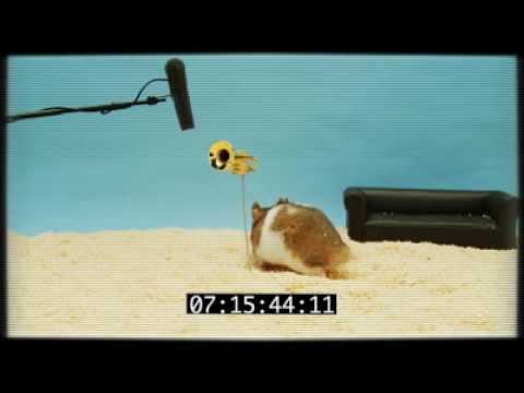 Bigby's Clever Hamster Audition