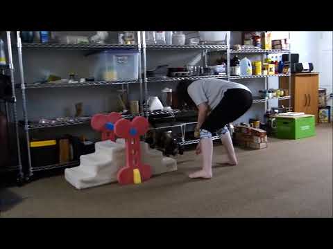 Training: Cinder Does Agility