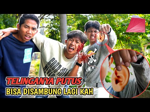 SAPUTRA'S EARS BREAK, ARIK AND THE BOYFRIEND'S KITE STRINGS ARE REALLY PANIC??😱 | Mikael TubeHD