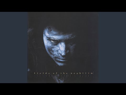 Shiva video thumbnail