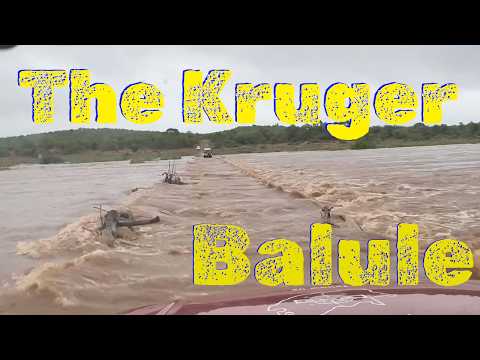 The Kruger National Park | Four Days at Balule | 2025