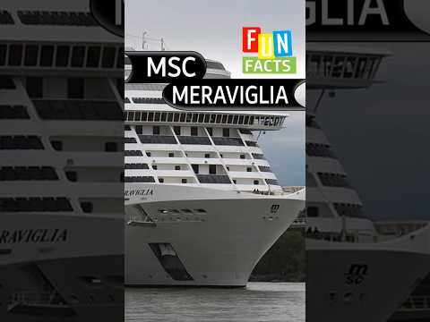 Thumbnail for I Wish I Knew This Before I Cruised on MSC Meraviglia. #holiday #cruise #travel